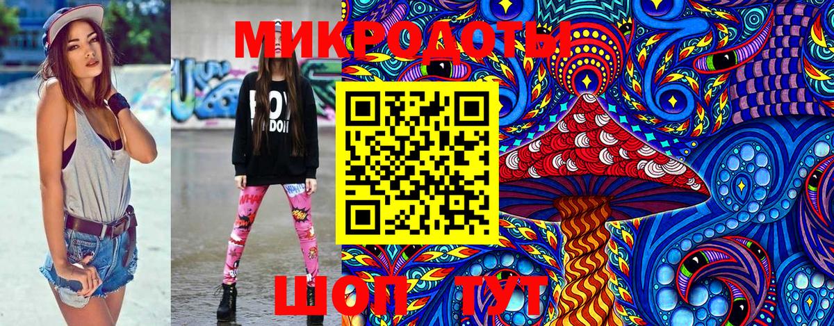 Псилоцибиновые грибы Cubensis Реутов